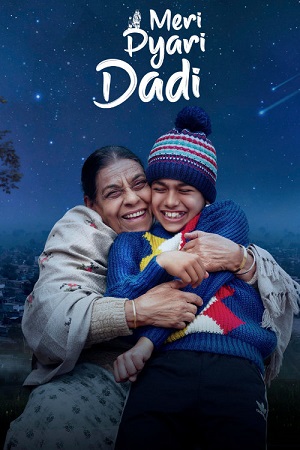 Download Meri Pyari Dadi (2025) Punjabi (DD5.1) Full Movie WEB-DL 480p [350MB] | 720p [950MB] | 1080p [2GB]