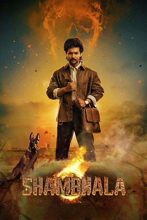 Download Shambhala (2025) Dual Audio [Hindi Clean + Telugu] 480p [500MB] | 720p [1.5GB] | 1080p [2.5GB] WeB-DL